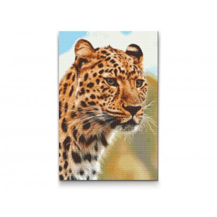 Pittura diamanti - Vista di un leopardo a caccia