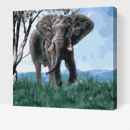 Dipingere con i numeri – Elefante nella natura