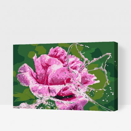 Dipingere con i numeri – Rosa e farfalla fatta di gocce d'acqua