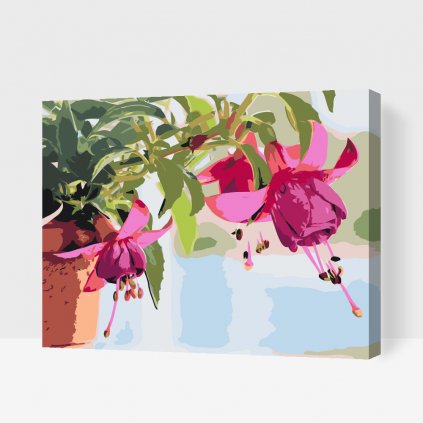 Dipingere con i numeri – Fucsia in un vaso da fiori