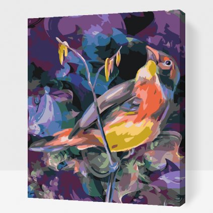 Dipingere con i numeri – Uccello in un ambiente colorato
