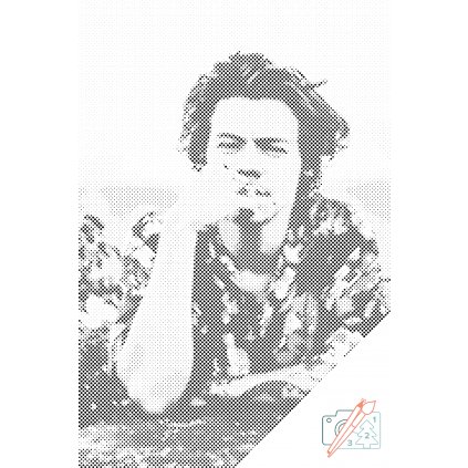 Puntinismo - Harry Styles 5