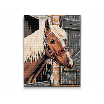 Pittura diamanti - Cavallo in una stalla