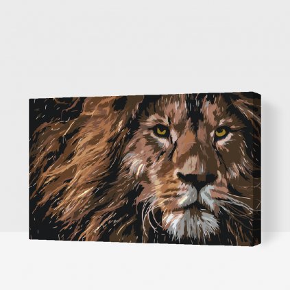 Dipingere con i numeri – Sguardo predatorio di un leone
