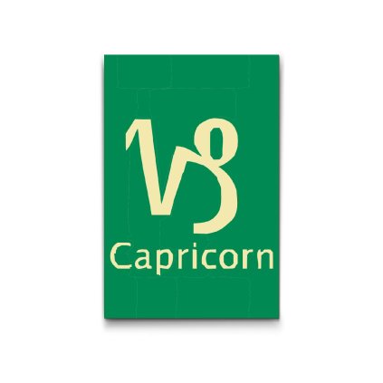 M2_Dipingere_con_i_numeri_-_Segno_zodiacale_–_Capricorno