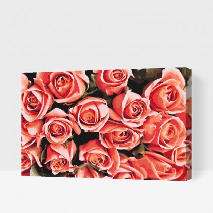 Dipingere con i numeri – Bouquet di rose
