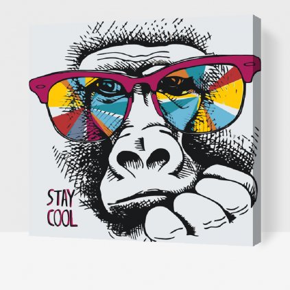 Dipingere con i numeri – Stay Cool