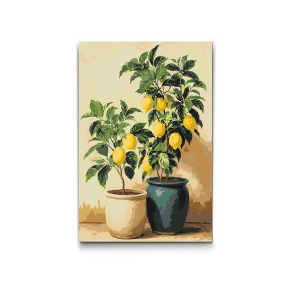 Dipingere_con_i_numeri_Alberi_di_limone_in_vaso_M2