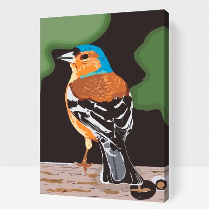 Dipingere con i numeri – Uccello su un legno