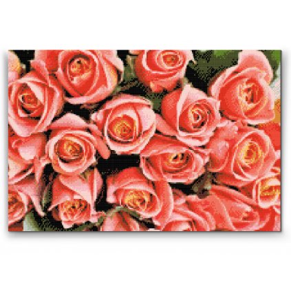 Pittura diamanti - Bouquet di rose