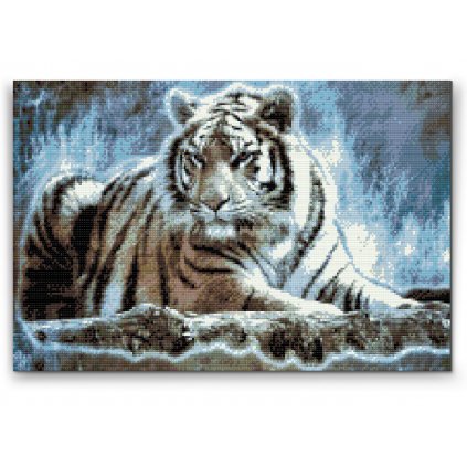Pittura diamanti - Tigre del Bengala