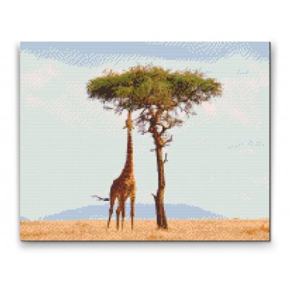 Pittura diamanti - Giraffa che mangia