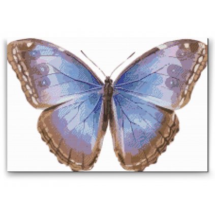 Pittura diamanti - Ali di farfalla