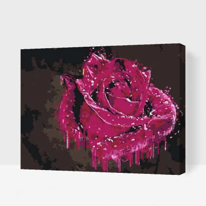 Dipingere con i numeri – Rosa ornamentale