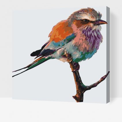 Dipingere con i numeri – Uccello su un ramo