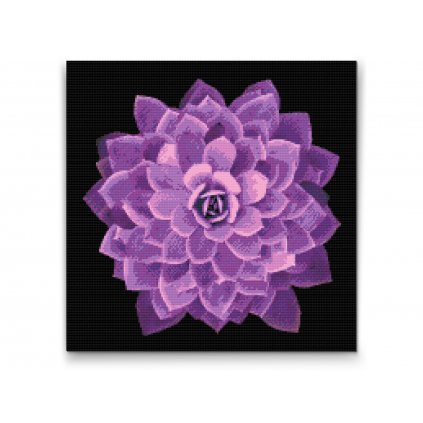 Pittura diamanti - Mandala viola