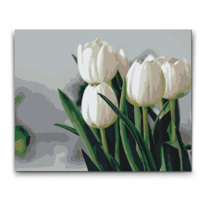M2_Dipingere_con_i_numeri_-_Tulipani_bianchi