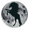 Dipingere con i numeri – Silhouette di un cavallo sulla luna
