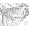 Puntinismo - Gattino che dorme