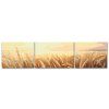 Dipingere_con_i_numeri_Tramonto_nel_campo_set_di_3_tele_M7