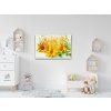Pittura_diamante_Girasoli_al_vento_M3