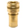 FOSTER H1B, NPT ⅛” Brass Female Quick Connect, FHK series 01