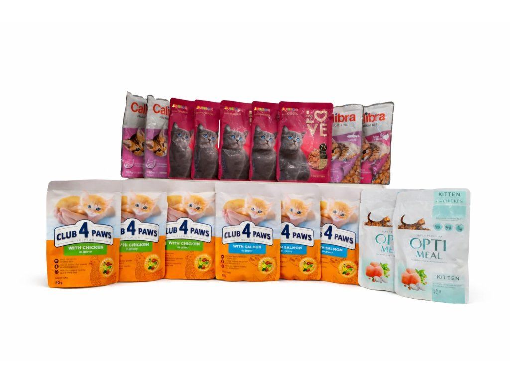 WhatsApp Image 2026 02 25 at 12.36.23