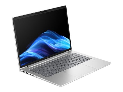 HP Elitebook 6 G1a/ Ryzen™ 7 250/ 32GB DDR5/ 512GB SSD/ Radeon™ Graphics/ 14" WUXGA,matný/ W11P/ stříbrný AD4K8ET#BCM