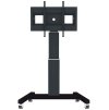 Neomounts  PLASMA-M2500BLACK / Motorised Mobile Floor Stand - VESA 200x200 up to 800x600 / Black PLASMA-M2500BLACK
