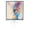 ELITE SCREENS plátno mobilní trojnožka 99" (251,5cm)/ 1:1/ 177,8×177,8cm/ gain 1.1/ case bílý T99NWS1