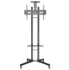Neomounts PLASMA-M1700E / Mobile Flat Screen Floor Stand (height: 154-170 cm) / Black PLASMA-M1700E