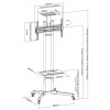 Neomounts PLASMA-M1700E / Mobile Flat Screen Floor Stand (height: 154-170 cm) / Black PLASMA-M1700E