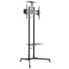 Neomounts PLASMA-M1700E / Mobile Flat Screen Floor Stand (height: 154-170 cm) / Black PLASMA-M1700E