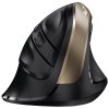 GENIUS Ergo 8250S Champagne Gold/ vertikální/ 1600 dpi/ bezdrátová/ 6tlačítek/ tichá/ černozlatá 31030031400