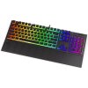 Endorfy herní klávesnice Omnis Pudd.Kailh BL RGB /USB/ blue switch / drátová / mechanická / US layout / černá RGB EY5A031