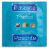 Pasante Tropical Foil