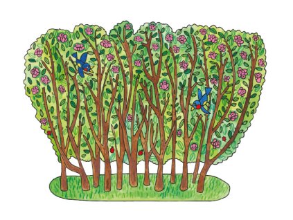 keř kulisa marionetino