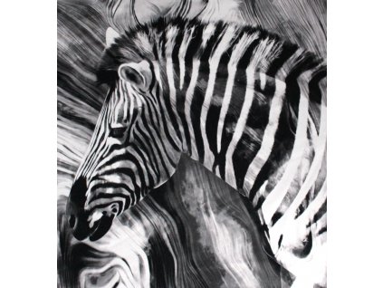 Panel Teplákovina Zebra Čiernobiela 35 x 35 cm