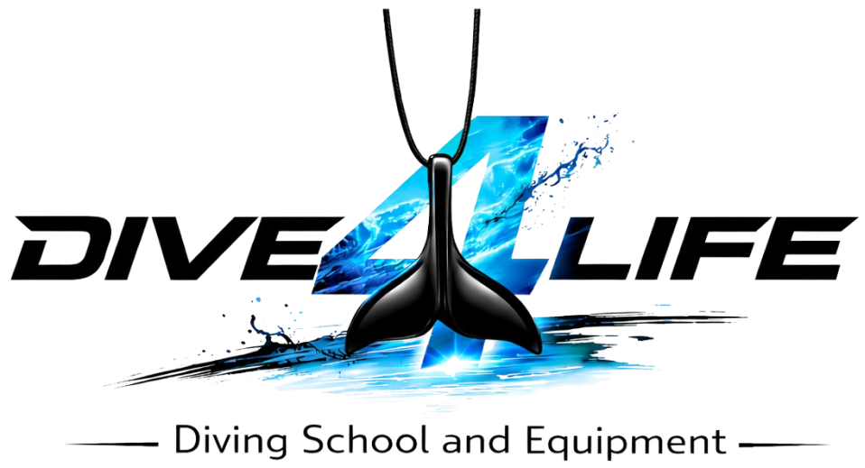 Dive 4 Life