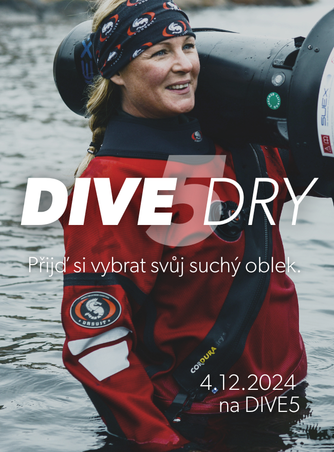 DIVE DRY - workshop