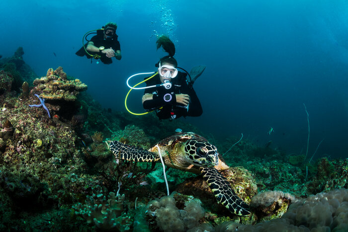 Suunto - Nové svěží barvy pro Zoop Novo