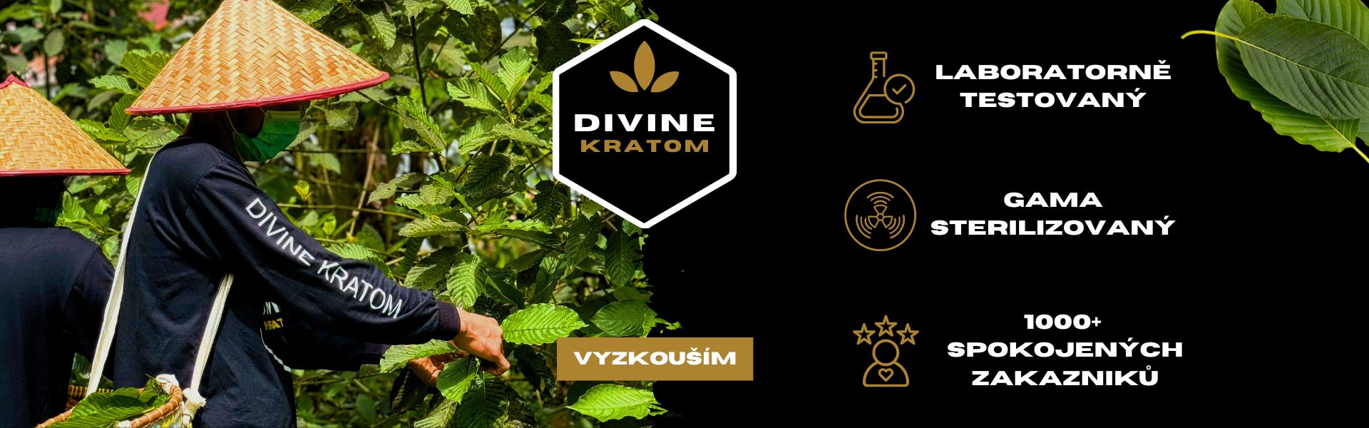 divine kratom primo z Indonesie