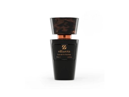 Pánský parfém 048 s 30 % vonných esencí CHOGAN 100 ml