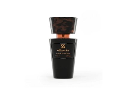 Pánský parfém Modern Man 136 Olfazeta Chogan