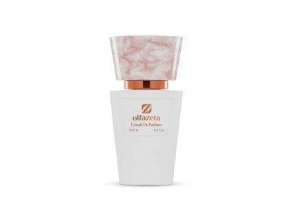 Dámský parfém Talisman 064 100 ml Chogan