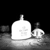 Dámský parfém 076 s 30 % vonných esencí 100 ml CHOGAN