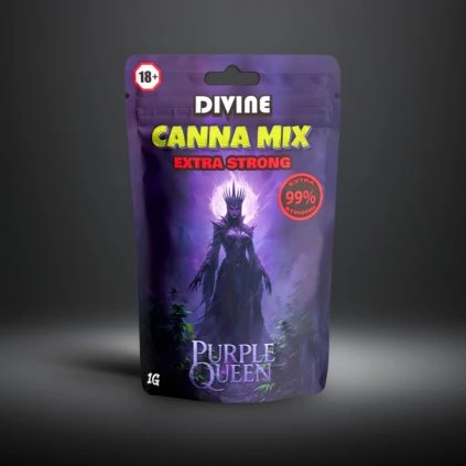canna mix purple queen