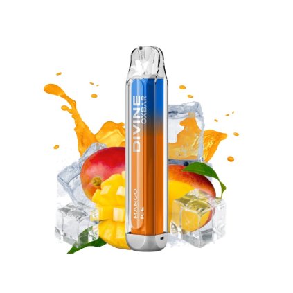 WhatsApp Image 2024 04 04 at 9.03.33 PM