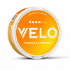 Velo tropical mango