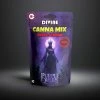 canna mix purple queen